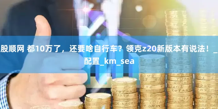 股顺网 都10万了，还要啥自行车？领克z20新版本有说法！_配置_km_sea