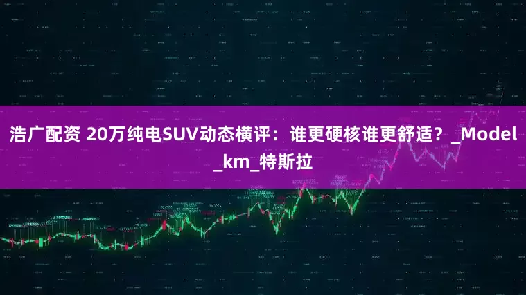 浩广配资 20万纯电SUV动态横评：谁更硬核谁更舒适？_Model_km_特斯拉