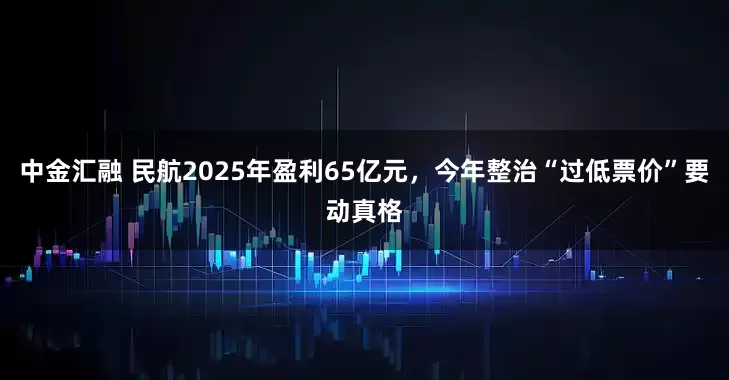 中金汇融 民航2025年盈利65亿元，今年整治“过低票价”要动真格